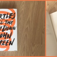 'Turtles All The Way Down' by John Green: Book Review